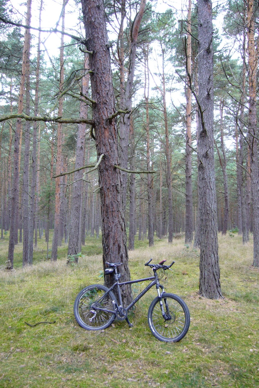 Fahrrad01