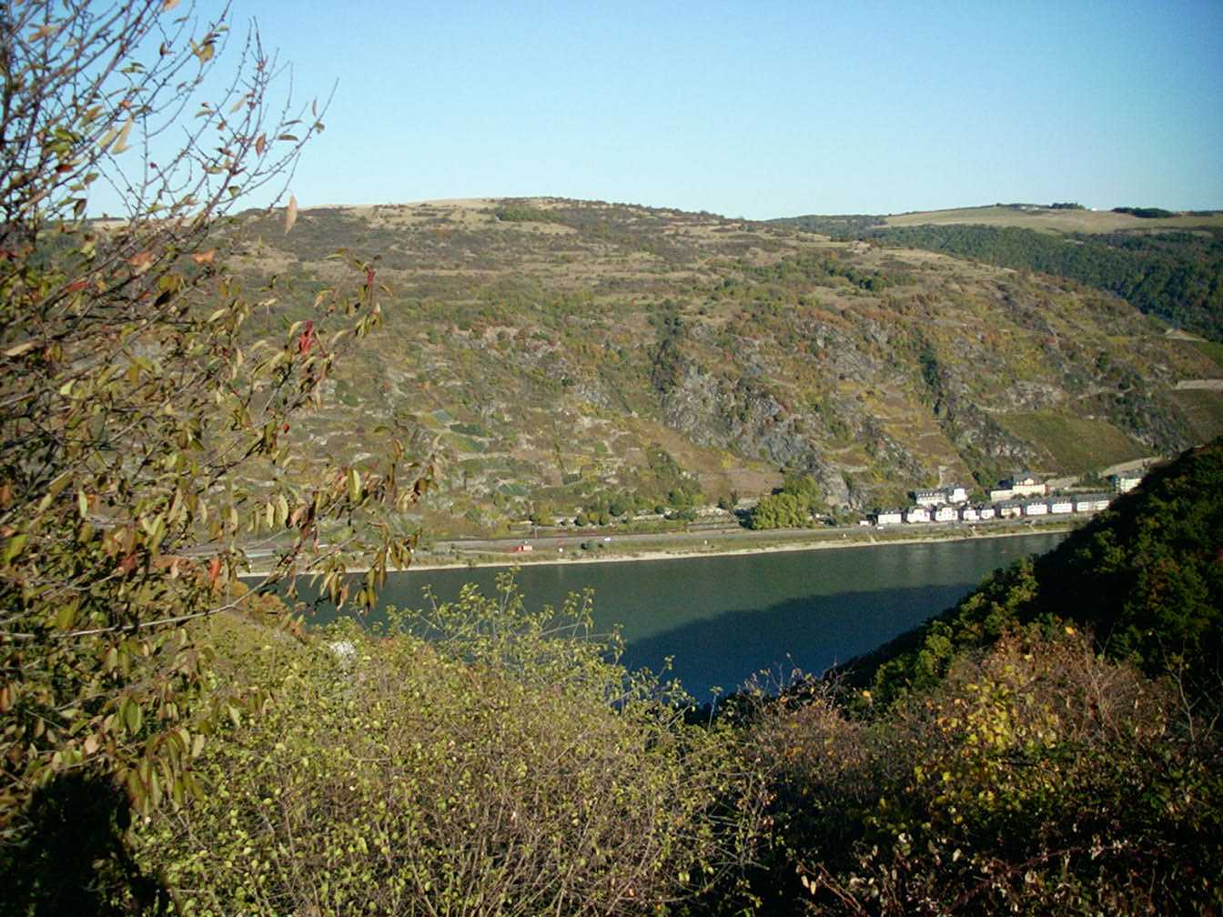 rhein1